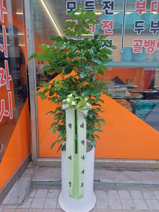 업로드 이미지