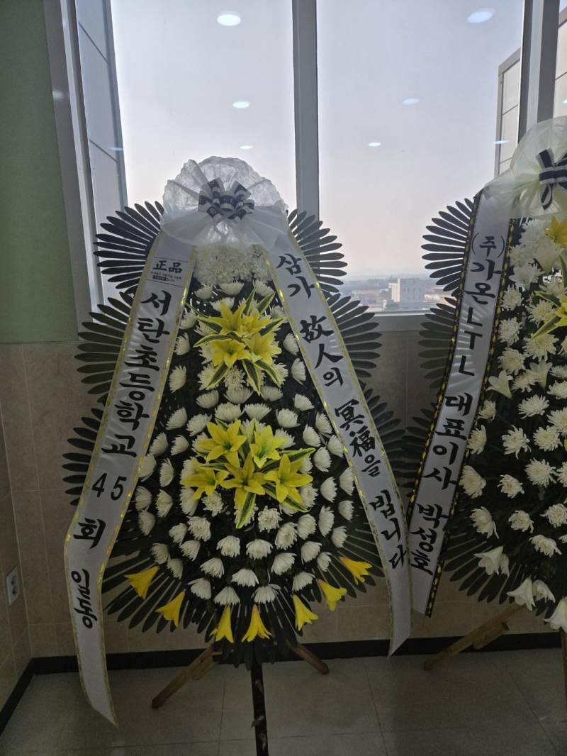 업로드 이미지