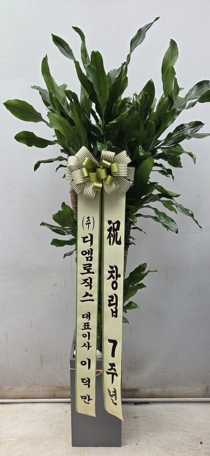 업로드 이미지