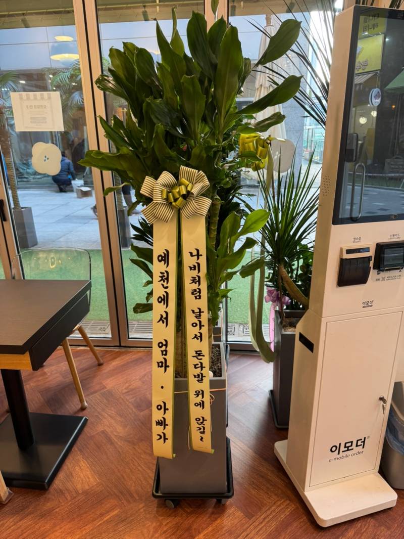 업로드 이미지