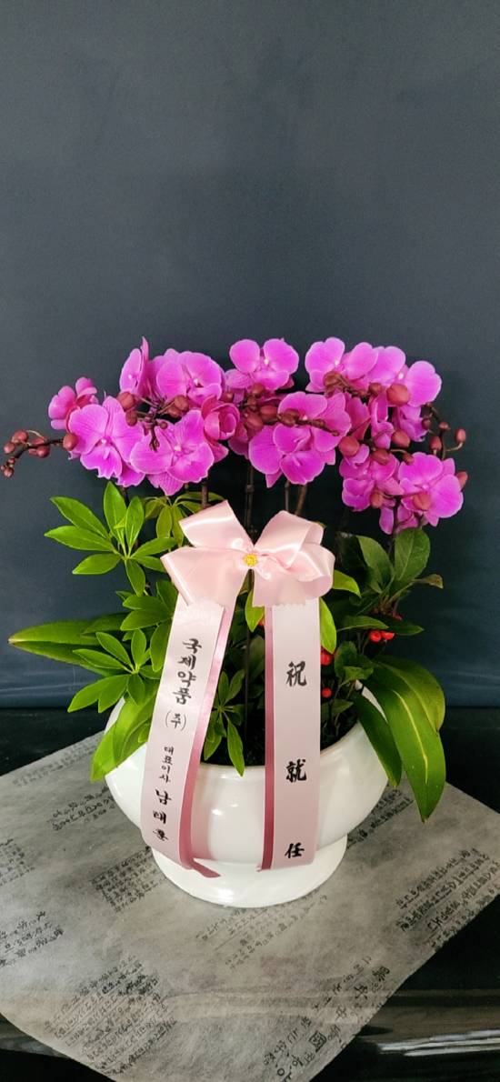 업로드 이미지