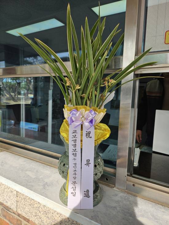 업로드 이미지