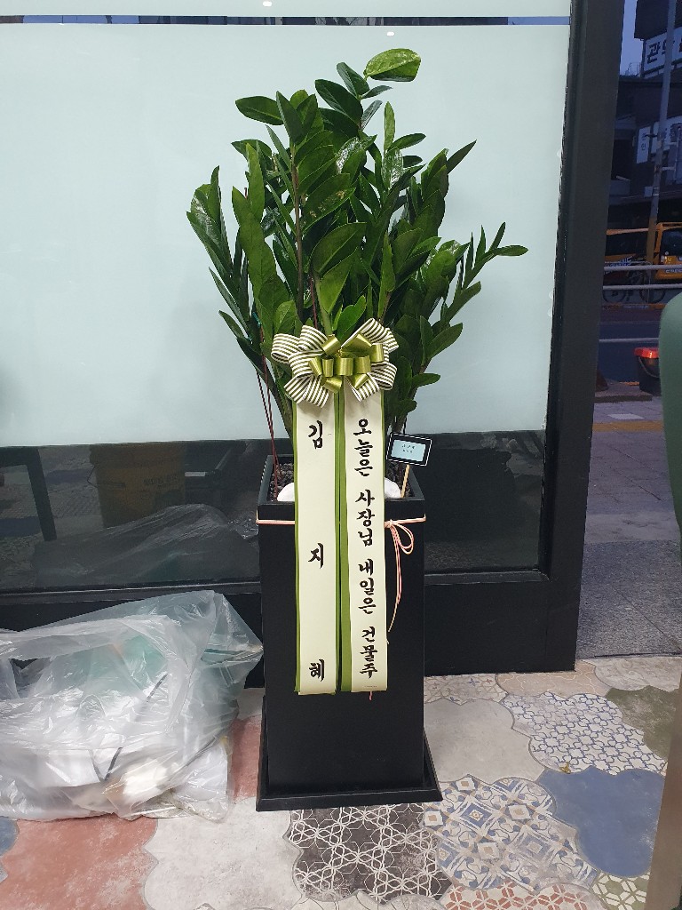 업로드 이미지