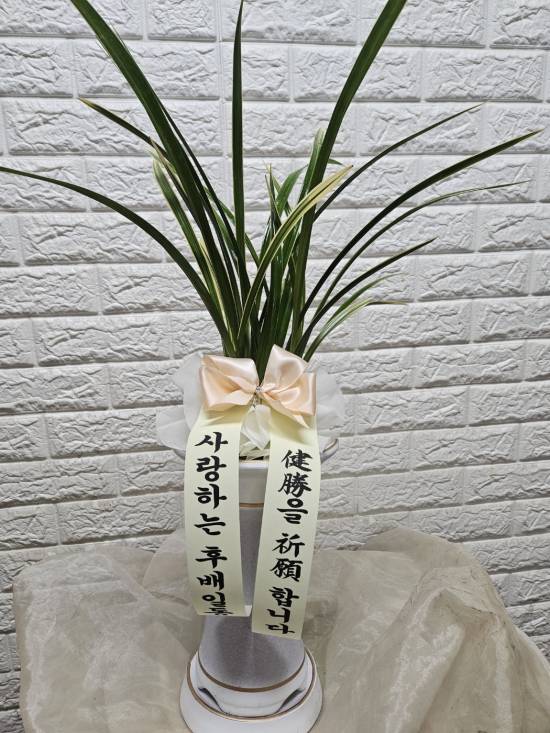 업로드 이미지