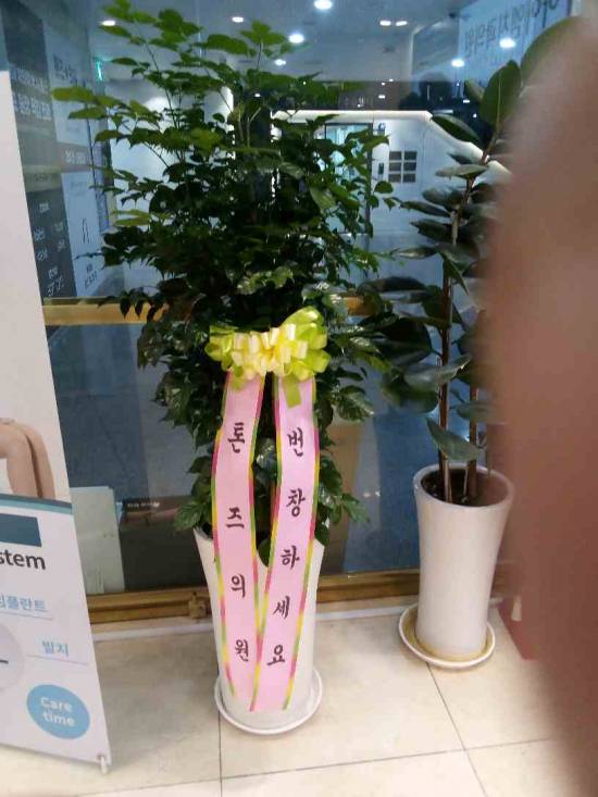 업로드 이미지