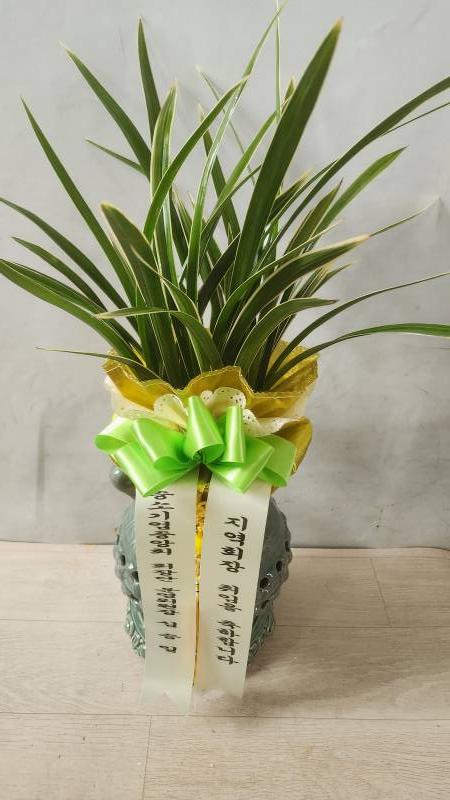 업로드 이미지