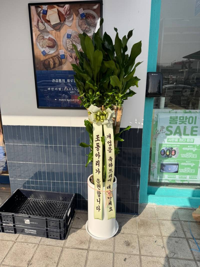 업로드 이미지
