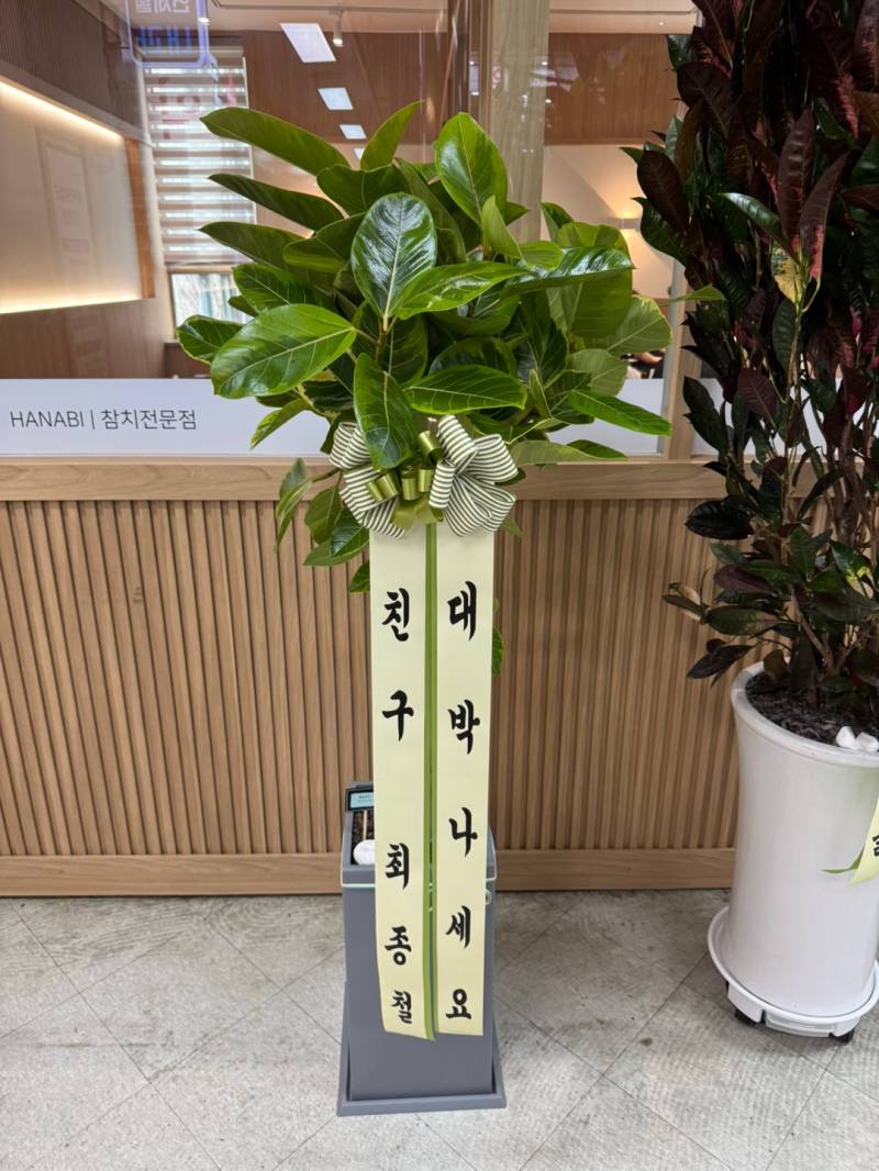업로드 이미지
