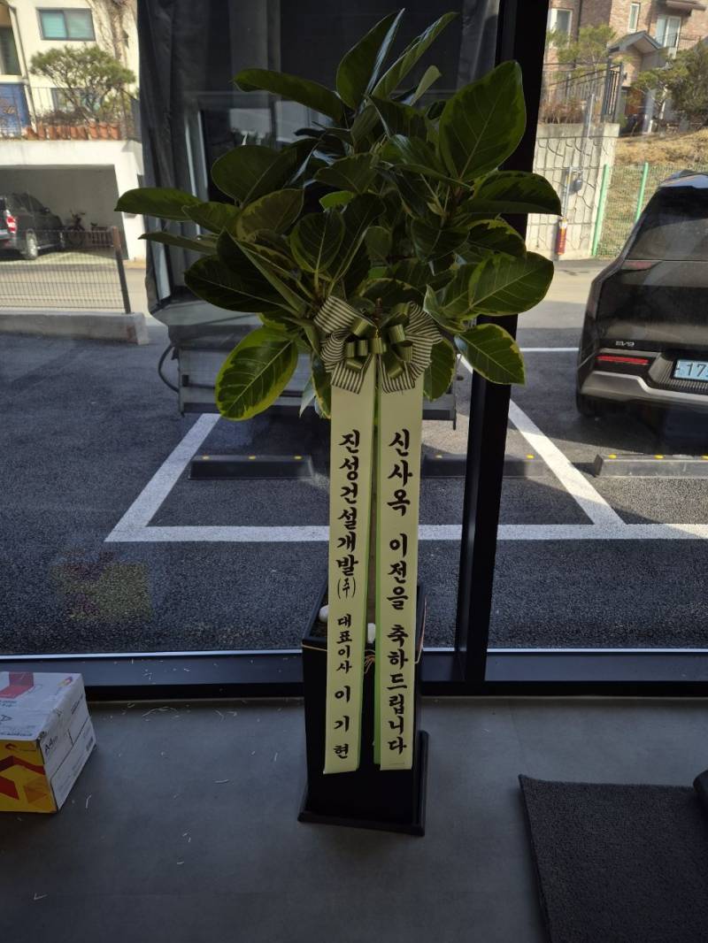 업로드 이미지