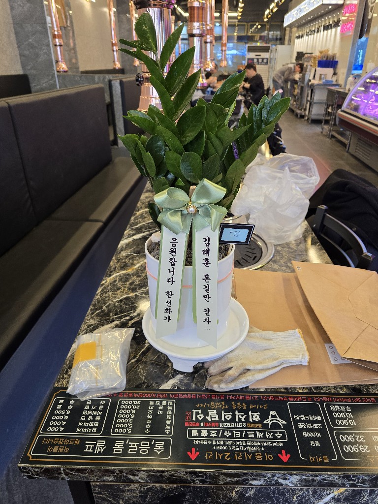 업로드 이미지