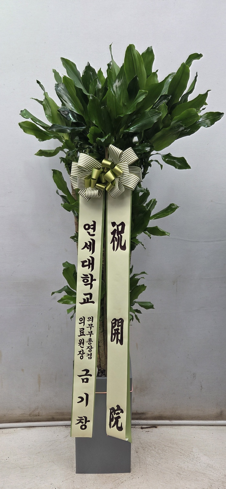 업로드 이미지
