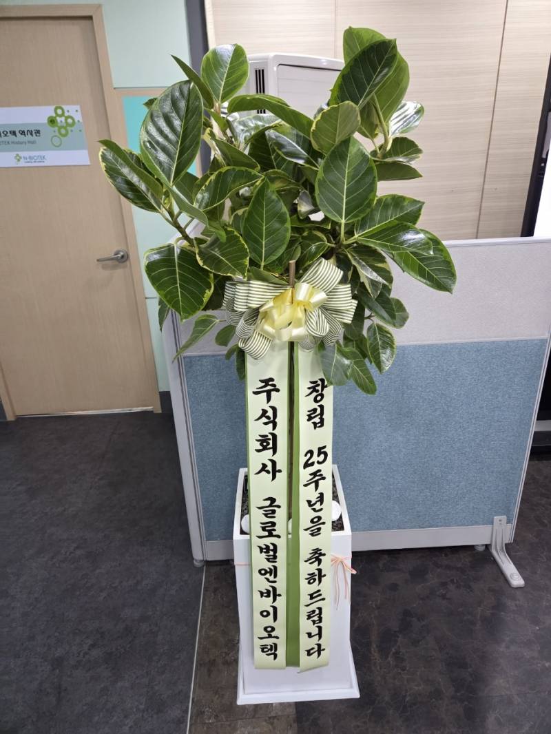 업로드 이미지