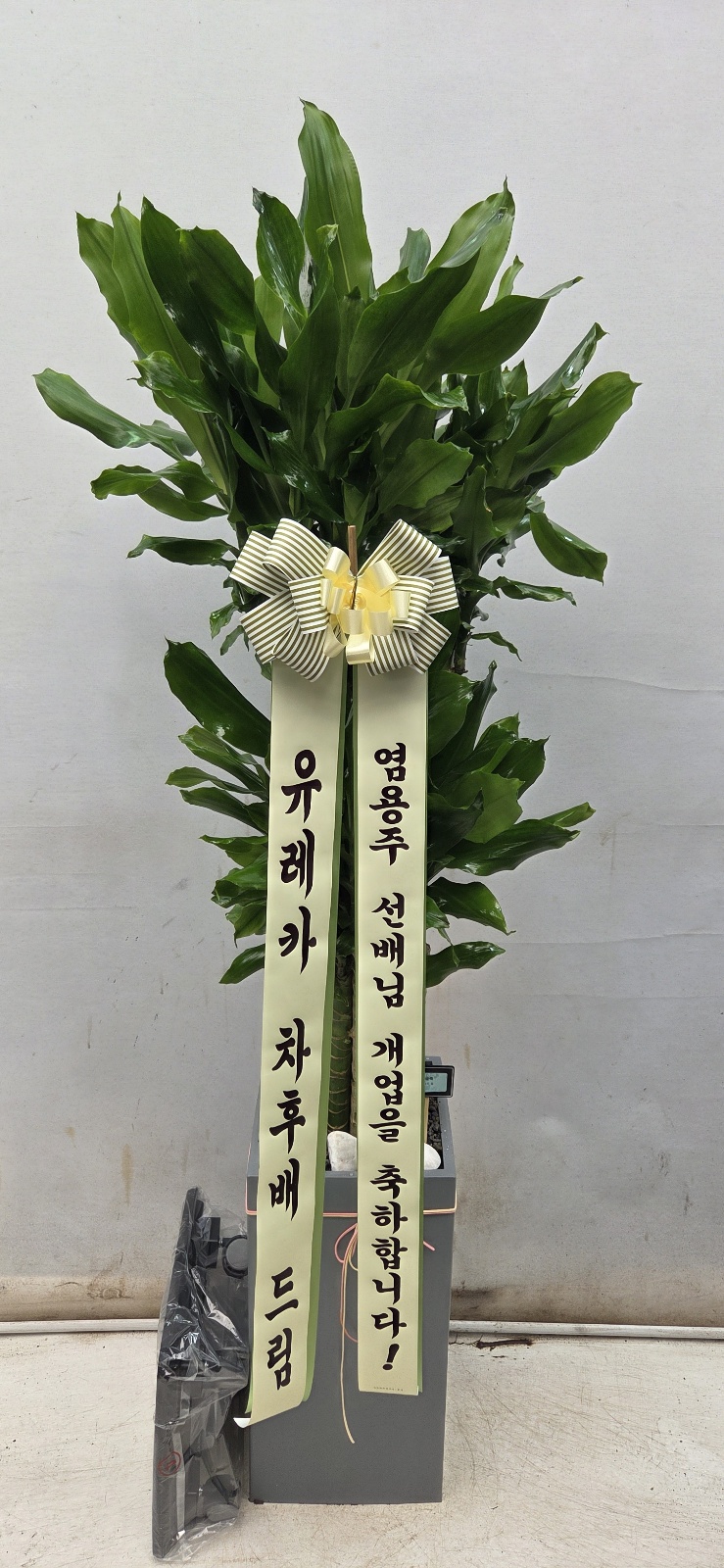 업로드 이미지