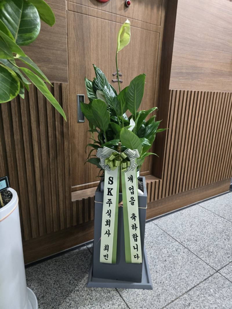 업로드 이미지