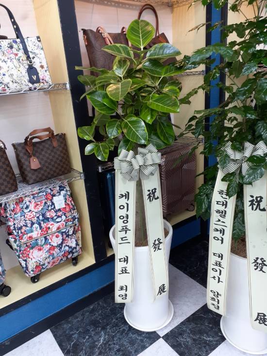 업로드 이미지