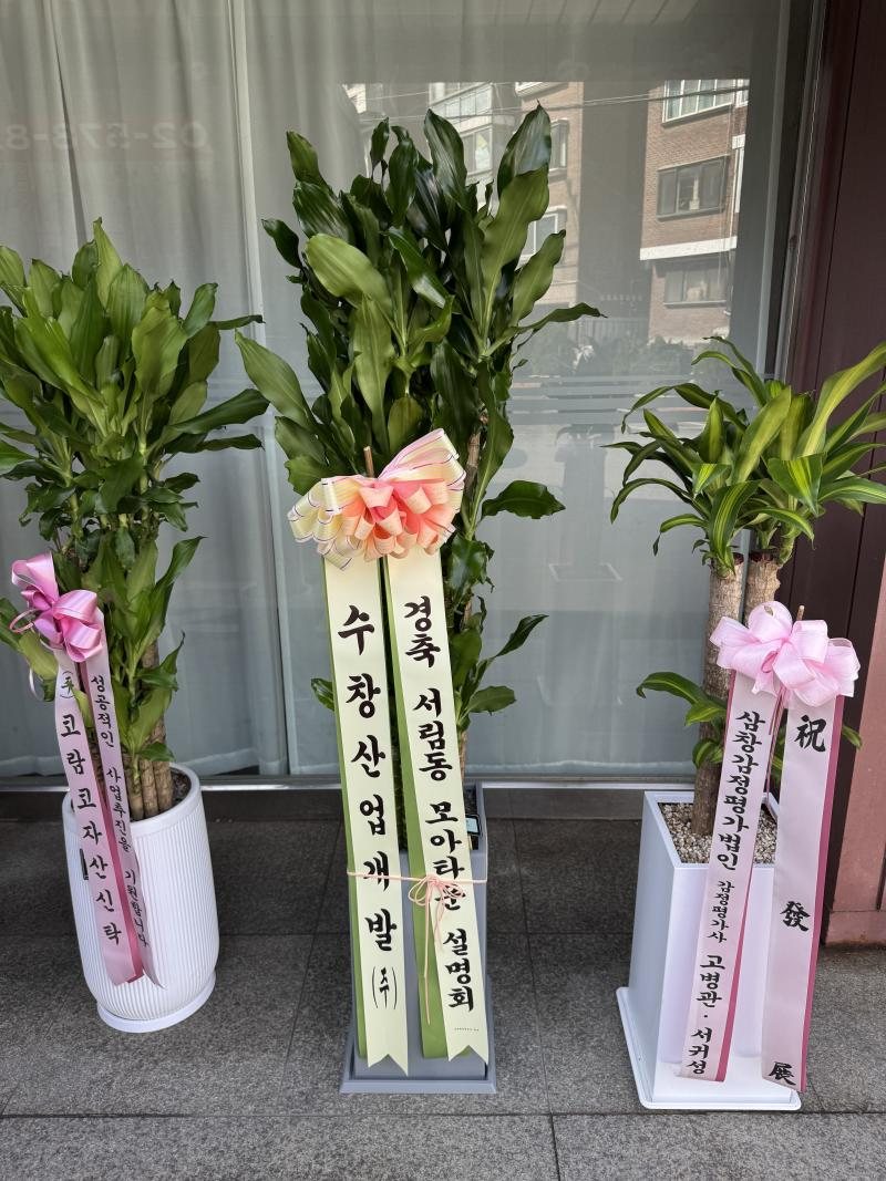 업로드 이미지
