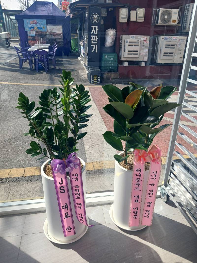 업로드 이미지