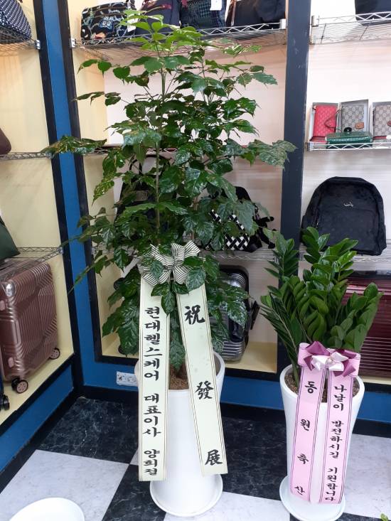 업로드 이미지