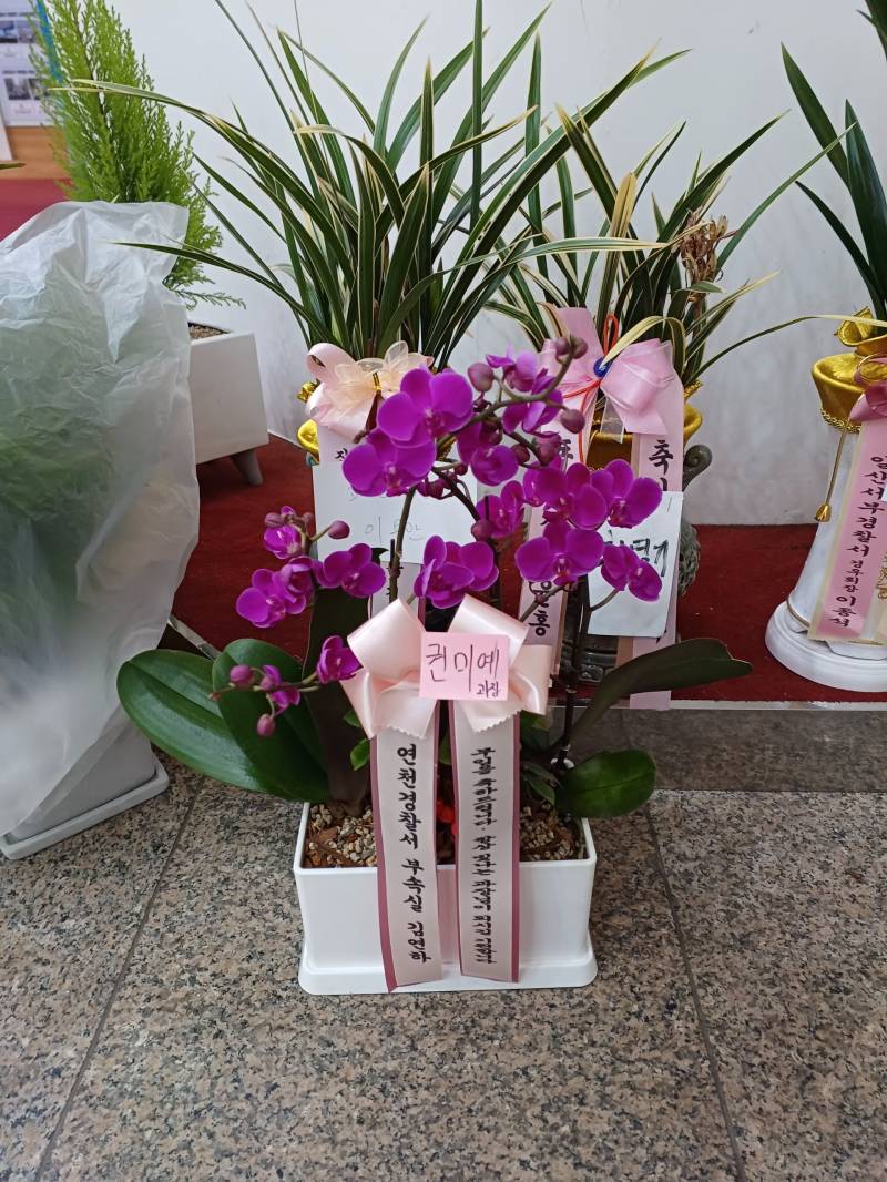 업로드 이미지