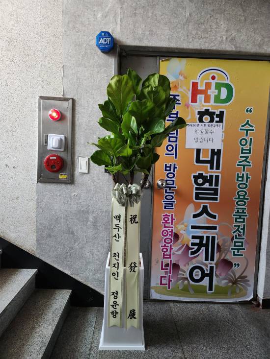 업로드 이미지