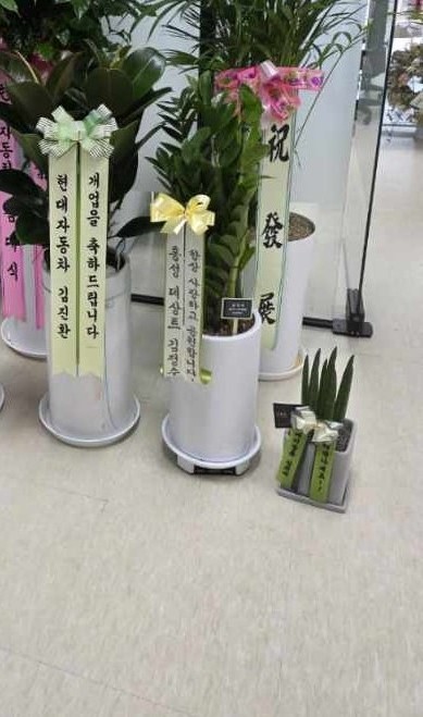 업로드 이미지