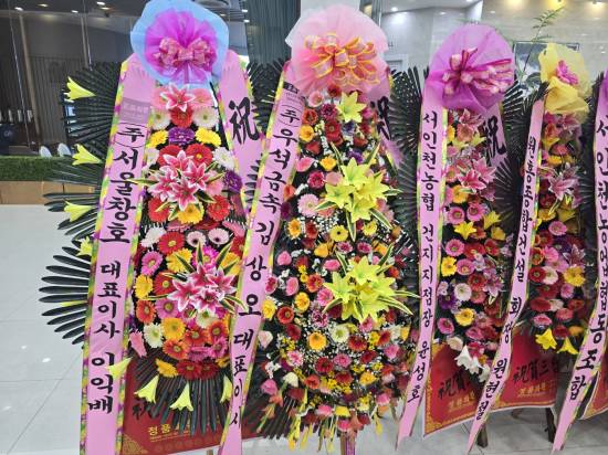 업로드 이미지