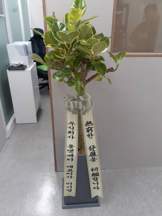 업로드 이미지