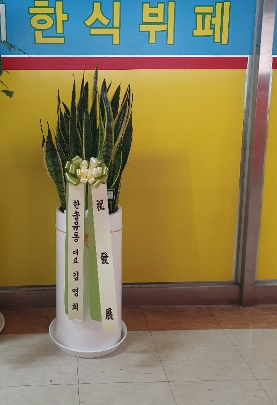 업로드 이미지