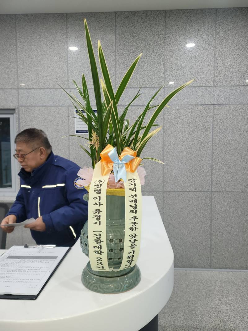 업로드 이미지