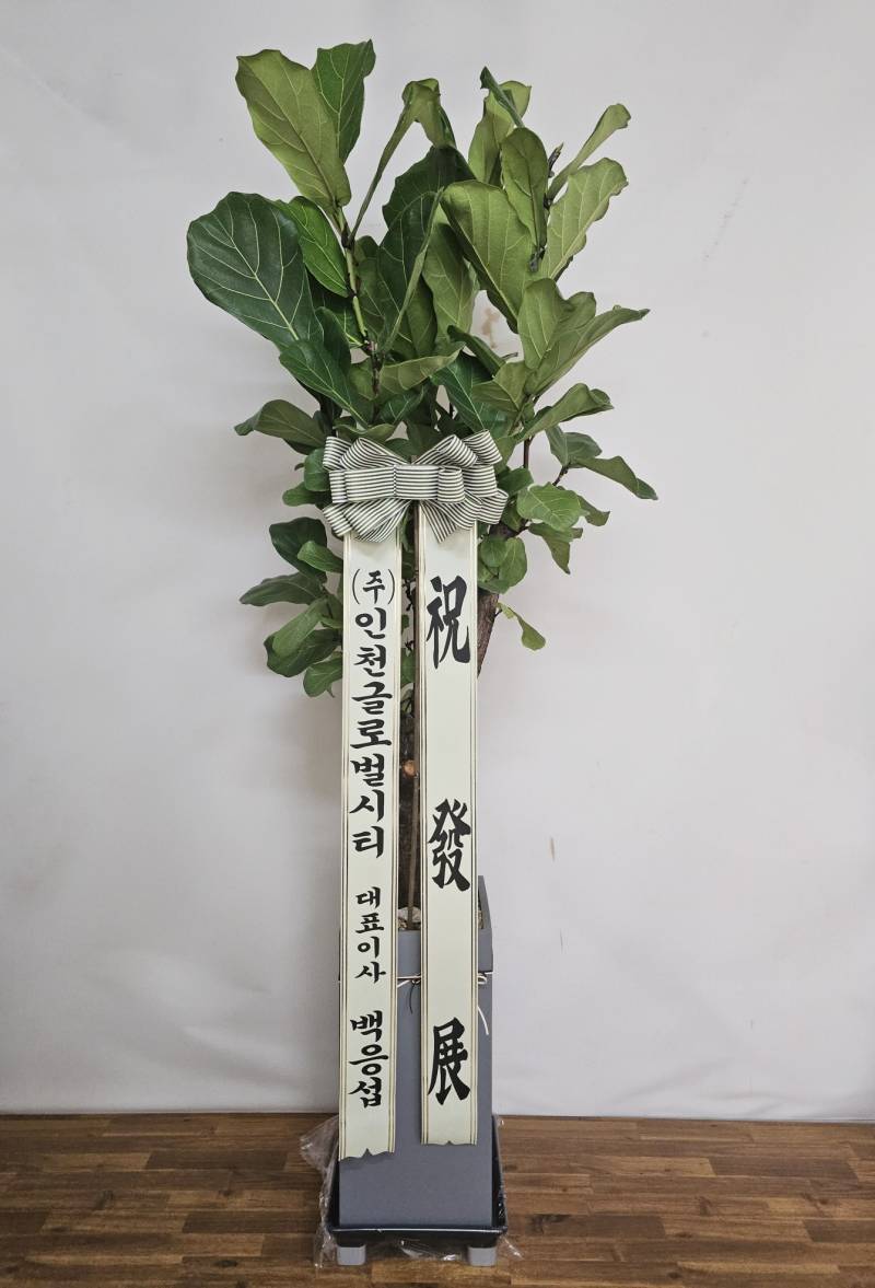 업로드 이미지