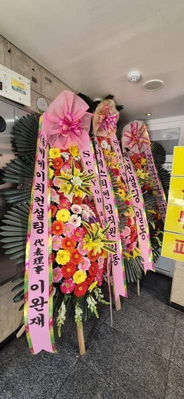 업로드 이미지