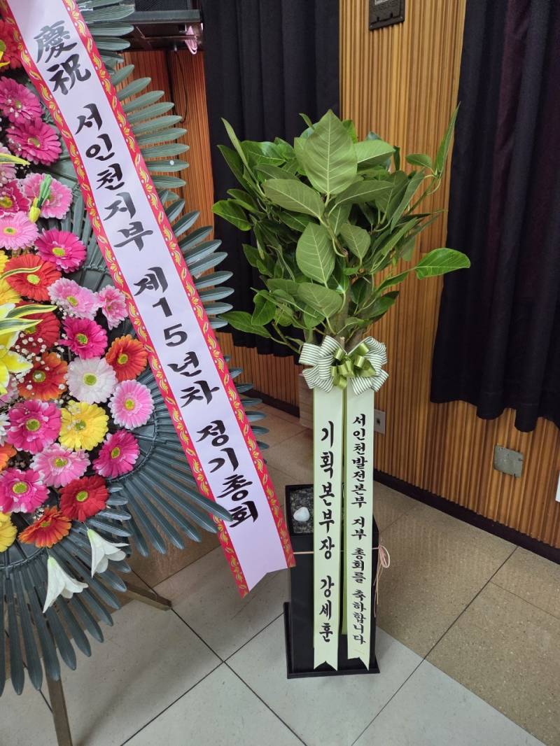 업로드 이미지