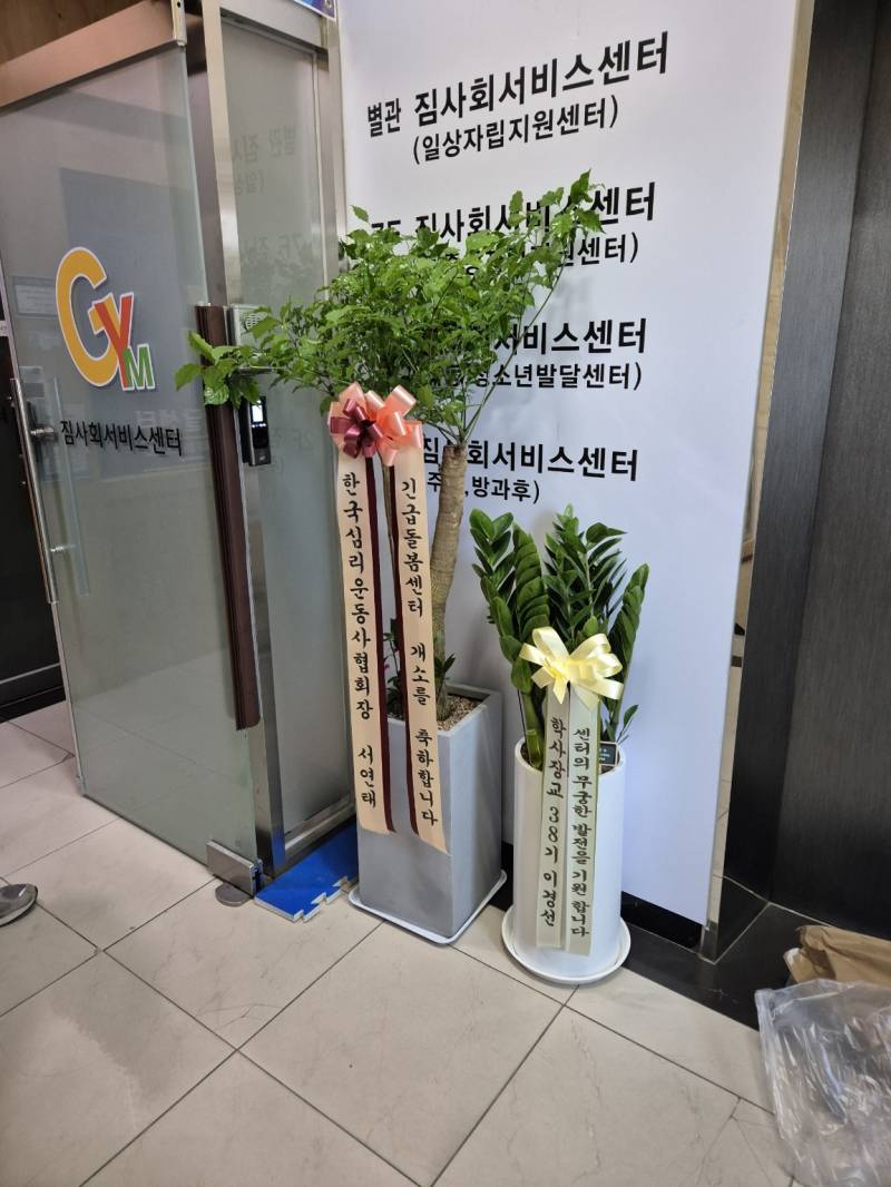 업로드 이미지