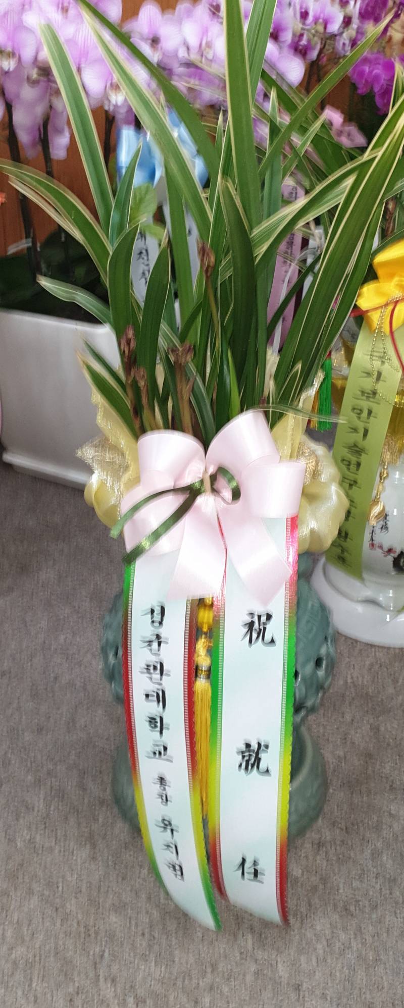 업로드 이미지