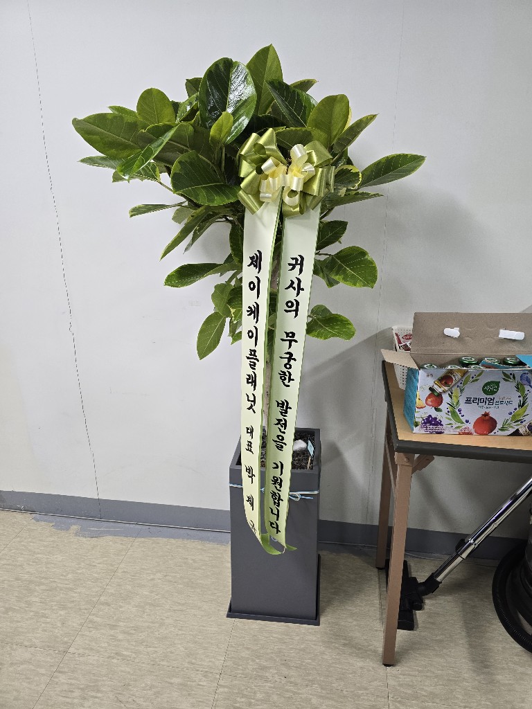 업로드 이미지