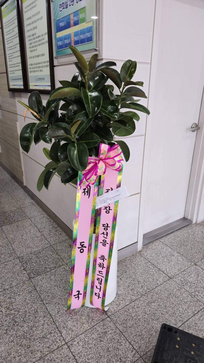 업로드 이미지
