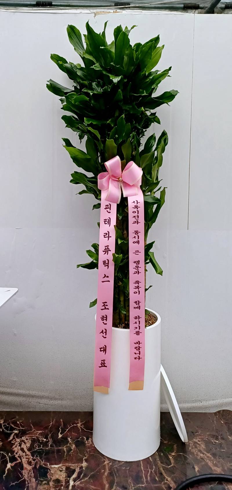 업로드 이미지