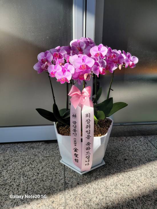 업로드 이미지