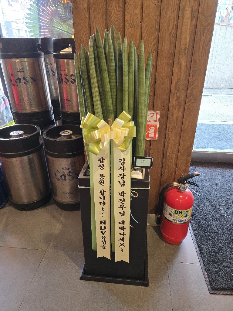업로드 이미지