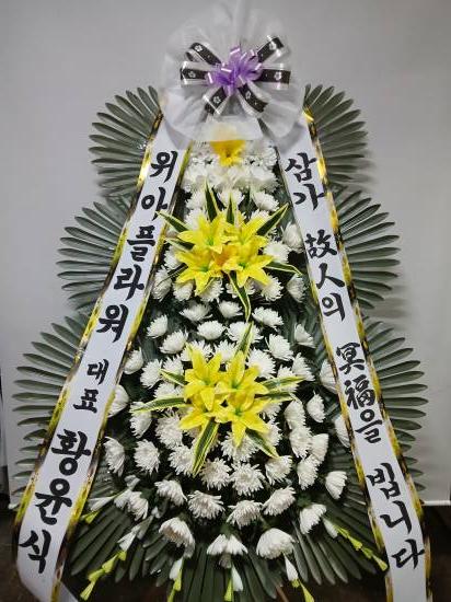 업로드 이미지