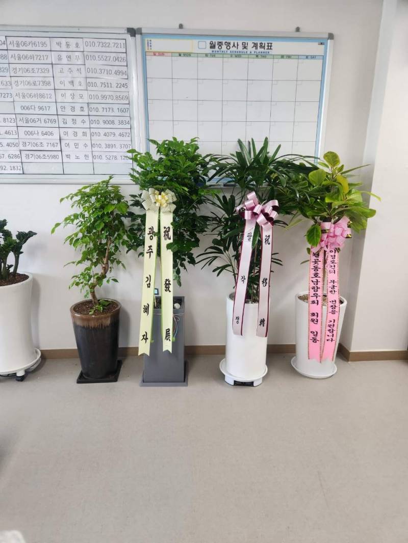 업로드 이미지