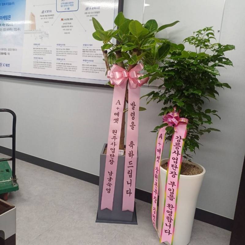 업로드 이미지