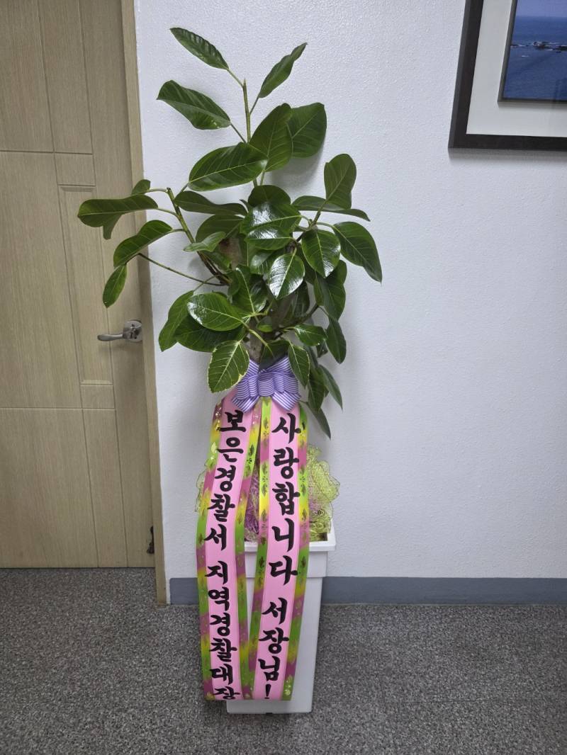 업로드 이미지