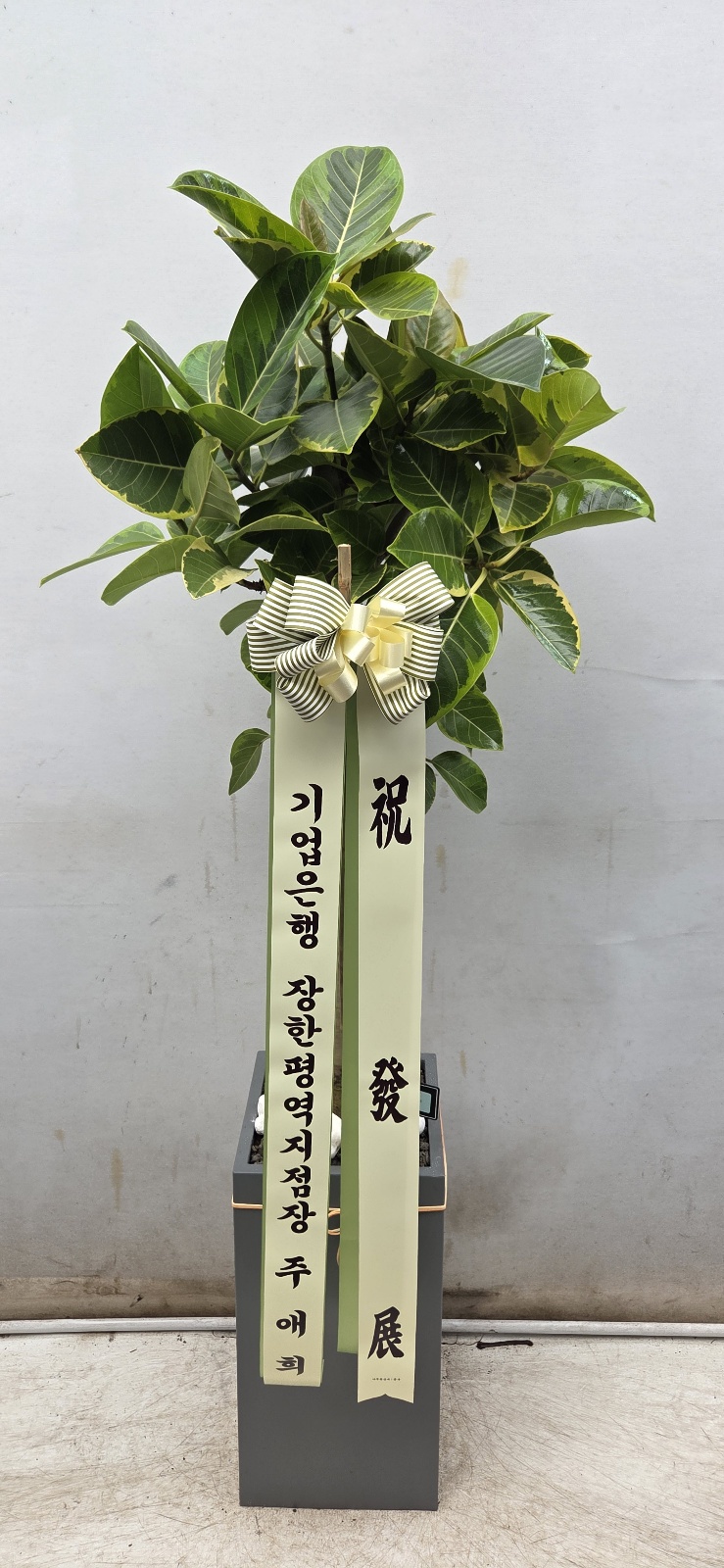 업로드 이미지