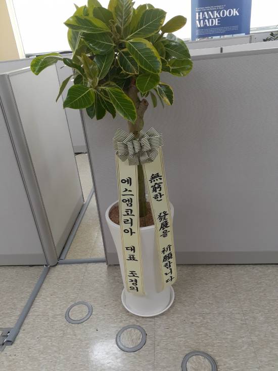 업로드 이미지