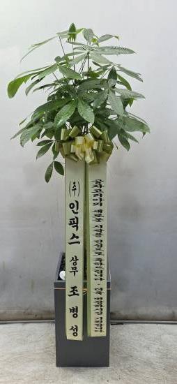 업로드 이미지