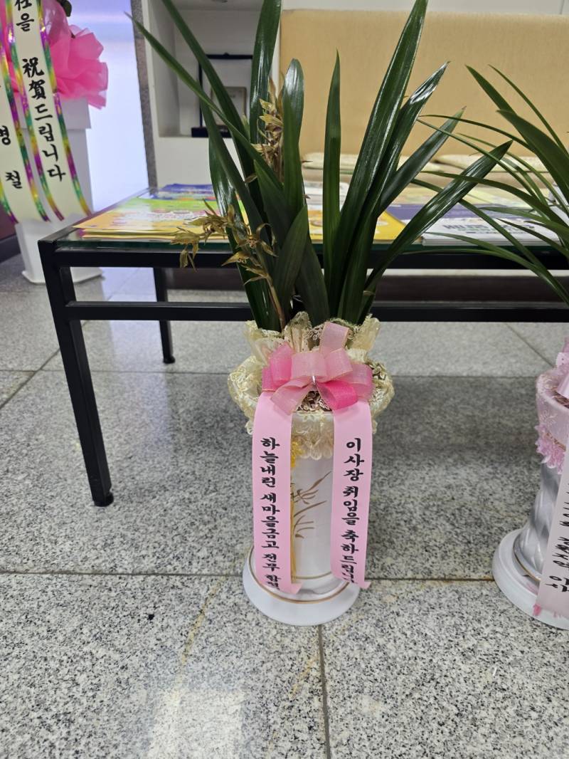 업로드 이미지