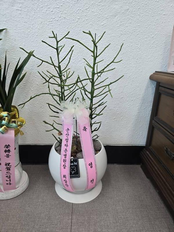 업로드 이미지