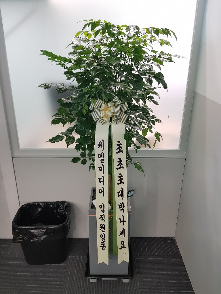 업로드 이미지