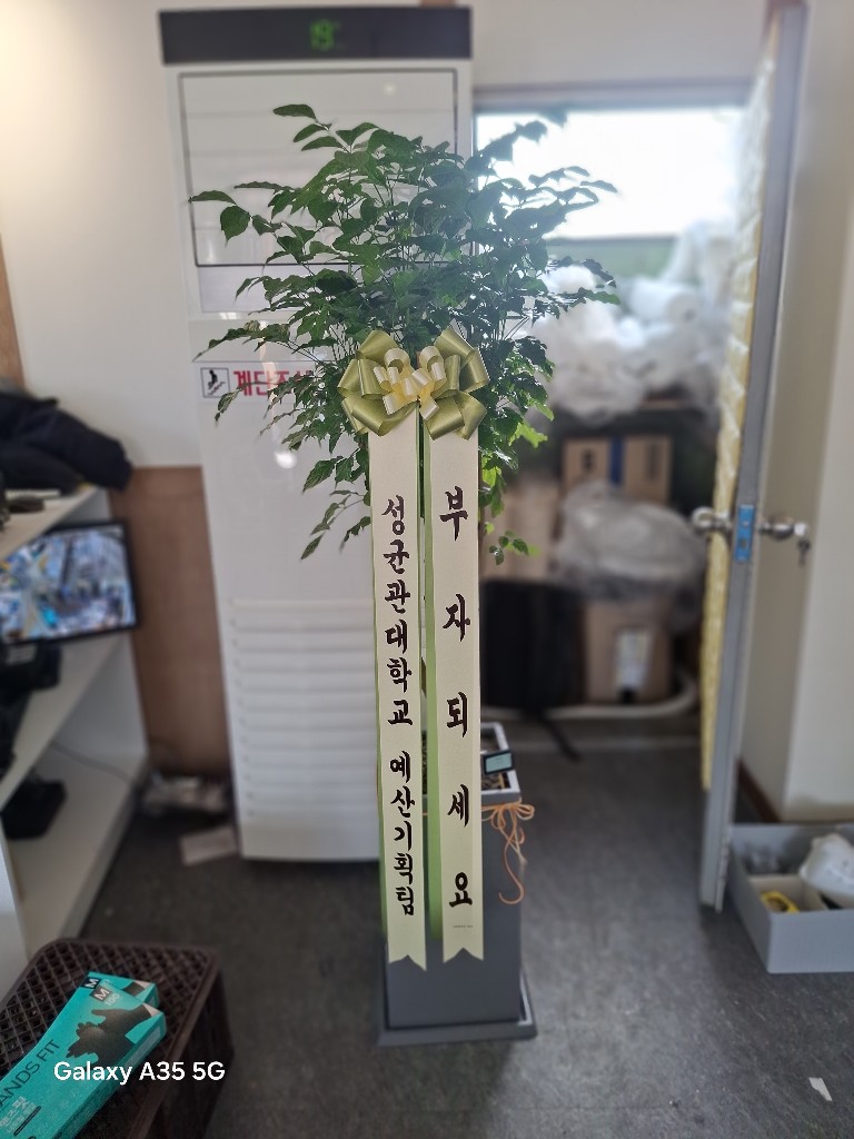 업로드 이미지